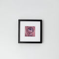 There's Something in my Eye- Fine Art Print
