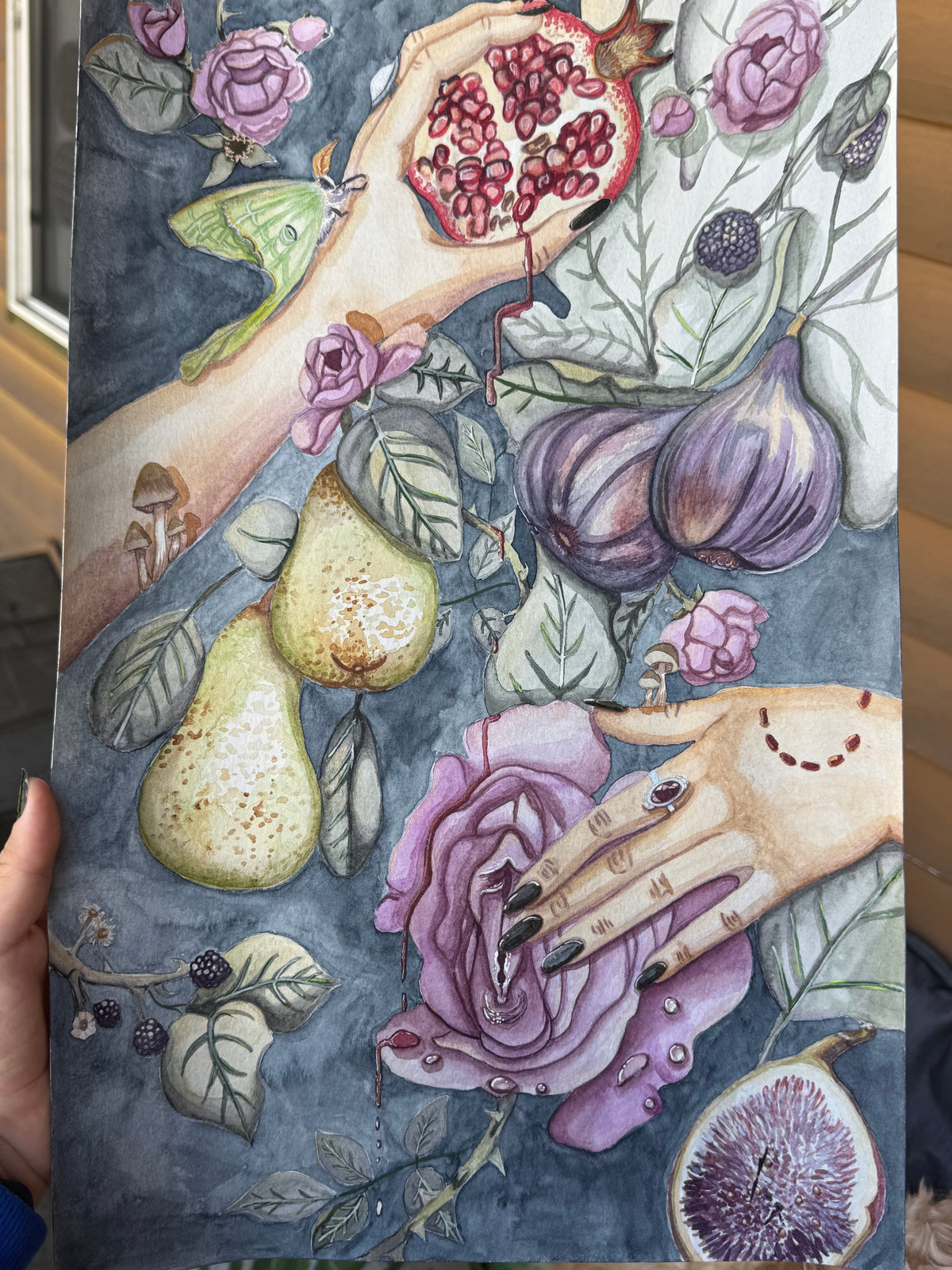 The Harvest
