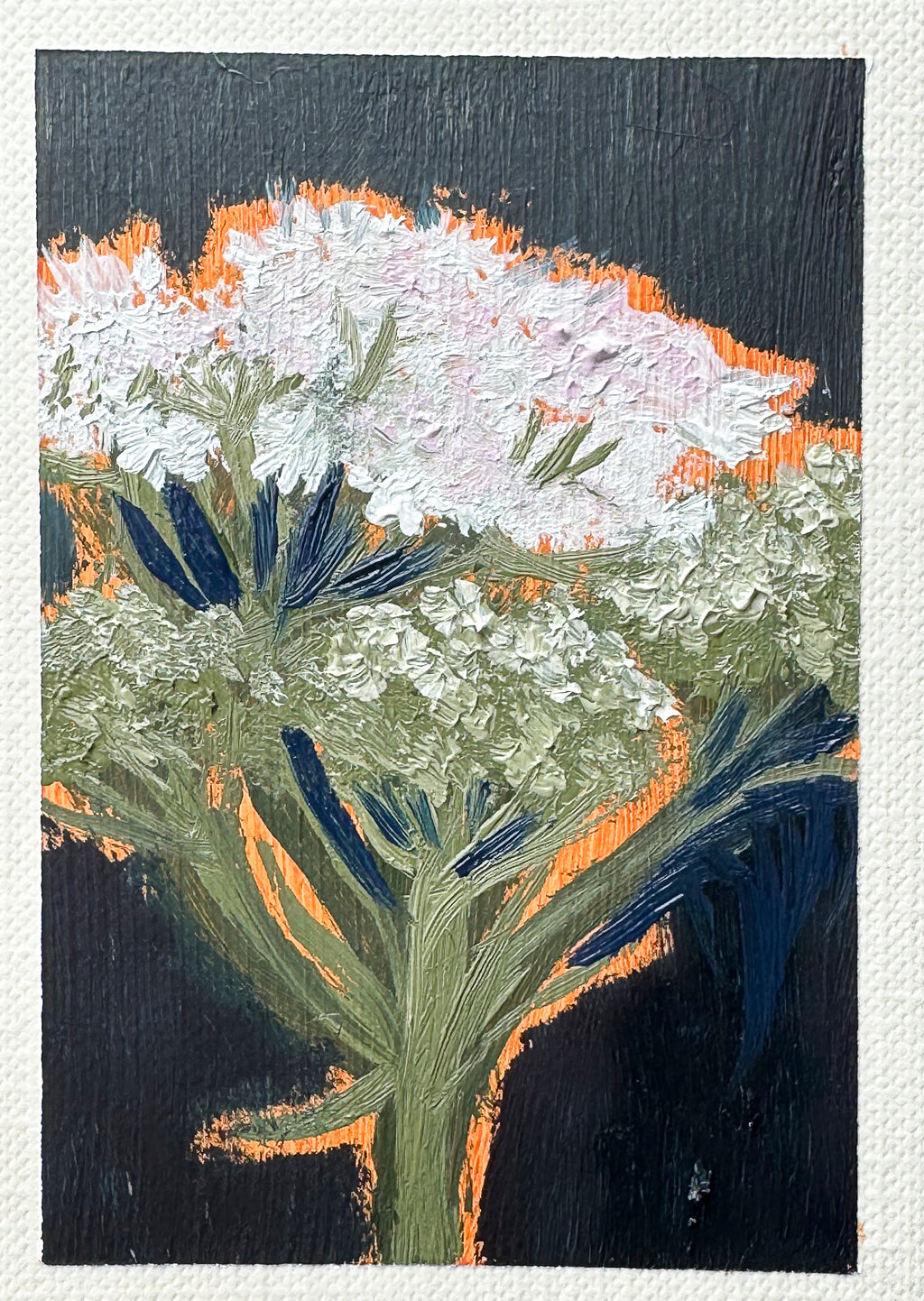 Water Hemlock- Fine Art Print