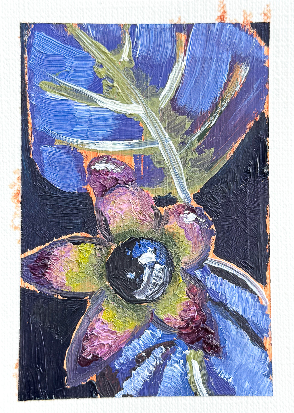 Deathberry- Fine Art Print