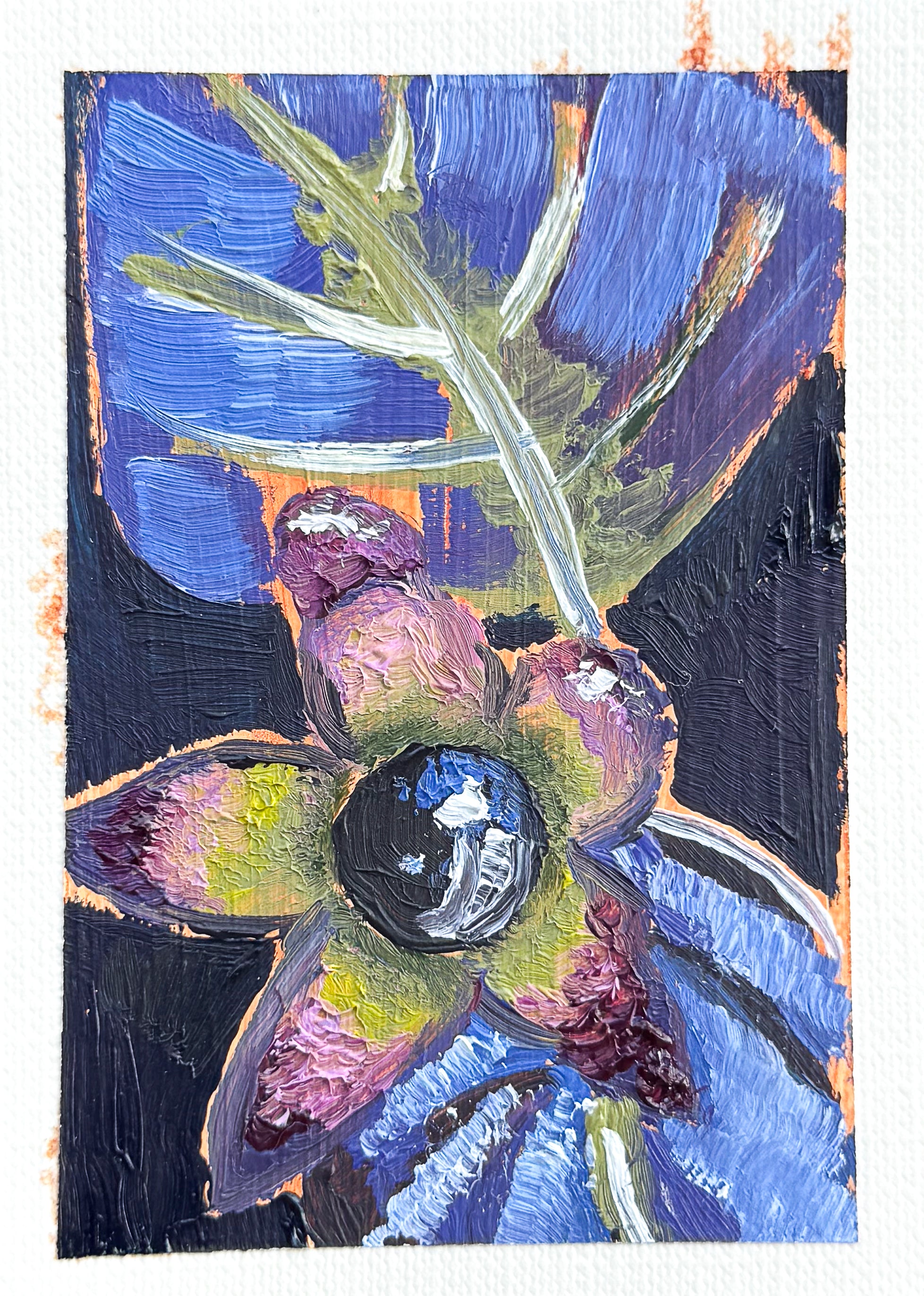Deathberry- Fine Art Print