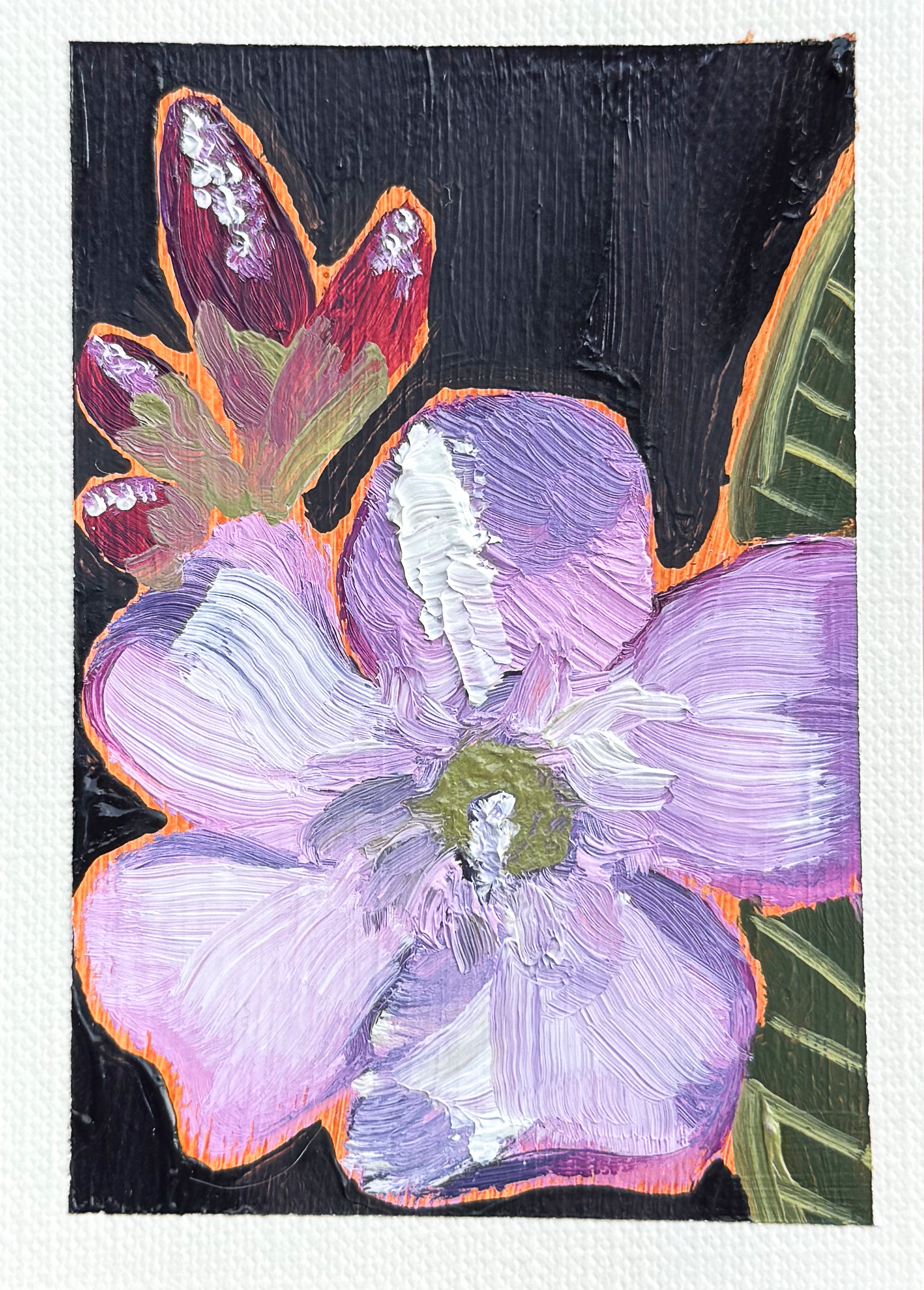 Oleander- Fine Art Print